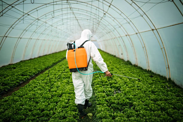 Best Residential Pest Control  in Dewitt, AR