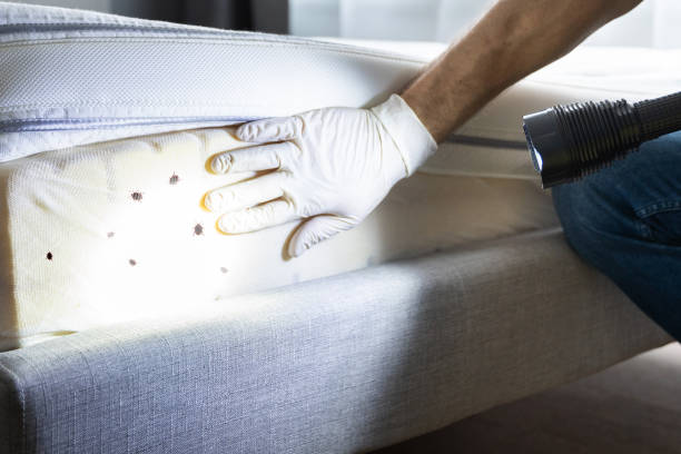 Best Pest Control for Restaurants  in Dewitt, AR