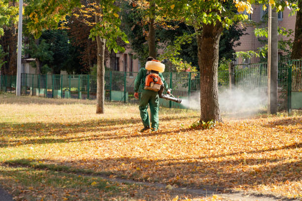 Best Pest Control Near Me in Dewitt, AR