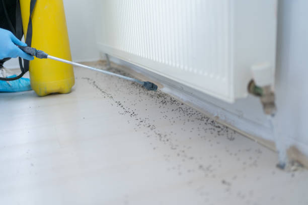 Best Mosquito Control Services  in Dewitt, AR