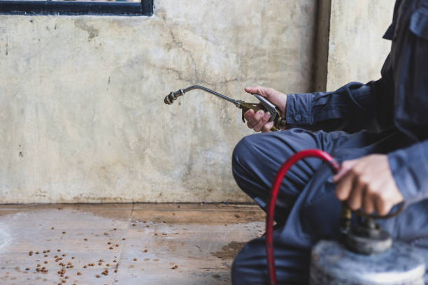 Best Pest Prevention Services  in Dewitt, AR